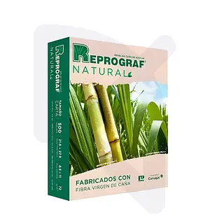 Resma De Papel Fotocopia Tamaño Carta 75 Gr Natural X 500 Ho