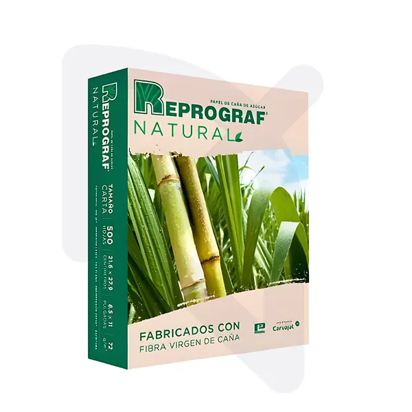 Resma De Papel Fotocopia Tamaño Carta 75 Gr Natural X 500 Ho