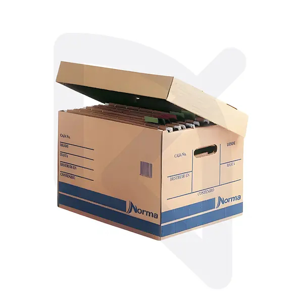 Caja De Archivo Norma Unidad